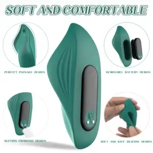 details of the remote control vibrating underwear